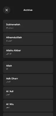 Tasbih Counter Pro Dhikr App android App screenshot 14